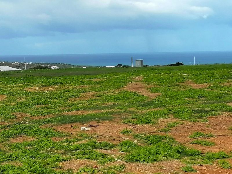 Platteboschkloof Estate in Stilbaai West now selling! - Photo 2