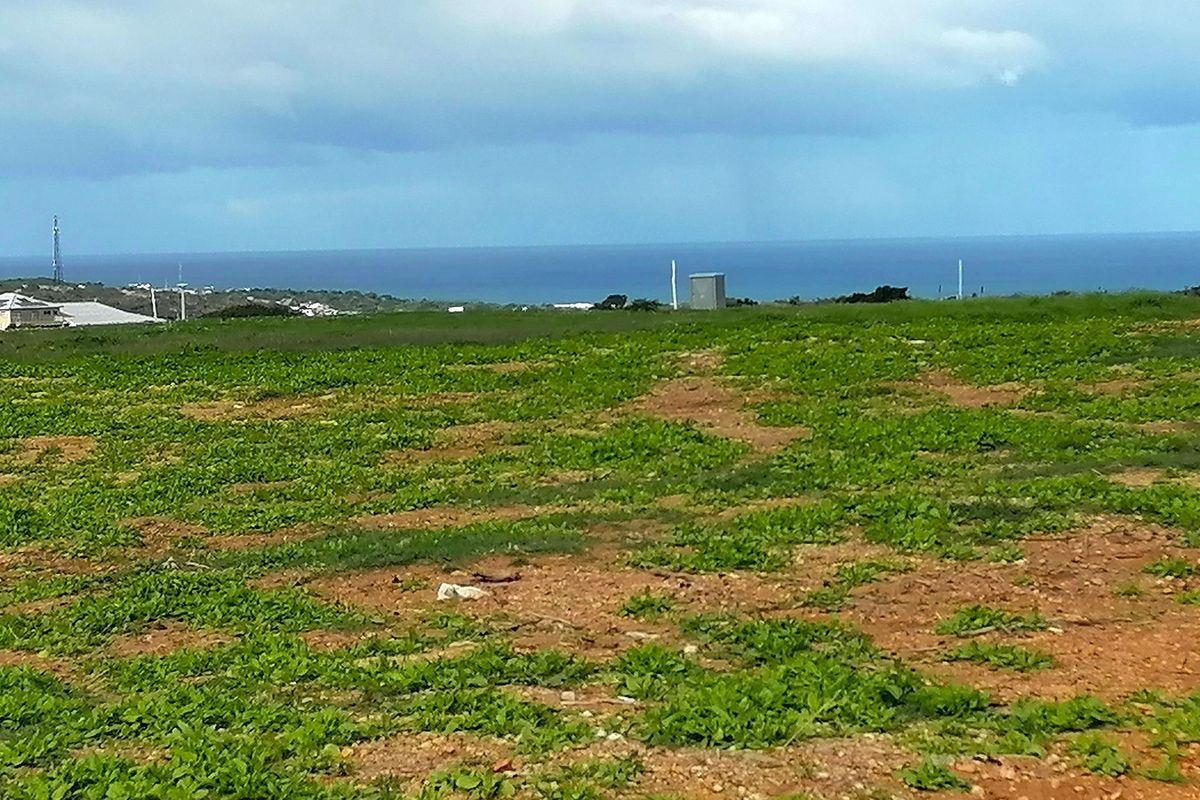 Platteboschkloof Estate in Stilbaai West now selling! - Photo 2