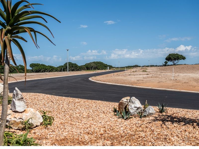 Platteboschkloof Estate in Stilbaai West now selling! - Photo 6