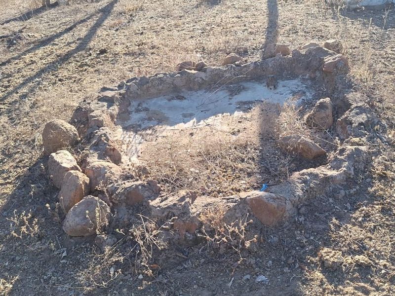 SMALLHOLDING - CHICKEN and PIG FARMING STRUCTURES IN PLACE - Photo 9