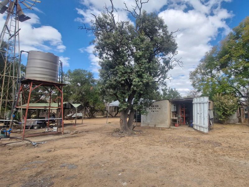 SMALLHOLDING - CHICKEN and PIG FARMING STRUCTURES IN PLACE - Photo 6