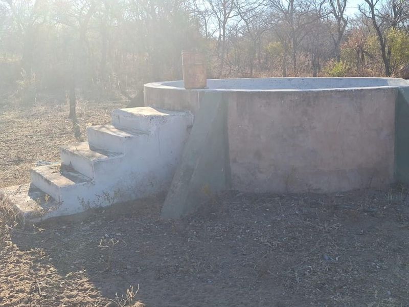 SMALLHOLDING - CHICKEN and PIG FARMING STRUCTURES IN PLACE - Photo 8