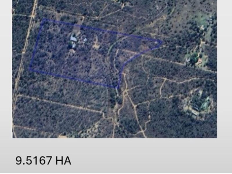 SMALLHOLDING - CHICKEN and PIG FARMING STRUCTURES IN PLACE - Photo 3