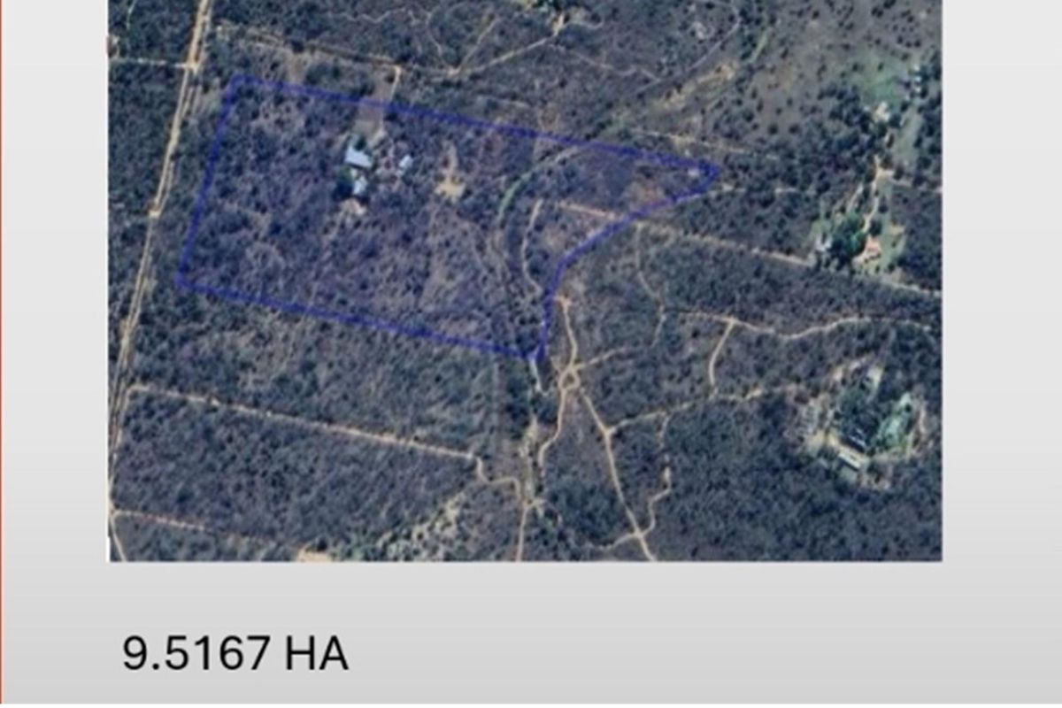 SMALLHOLDING - CHICKEN and PIG FARMING STRUCTURES IN PLACE - Photo 3