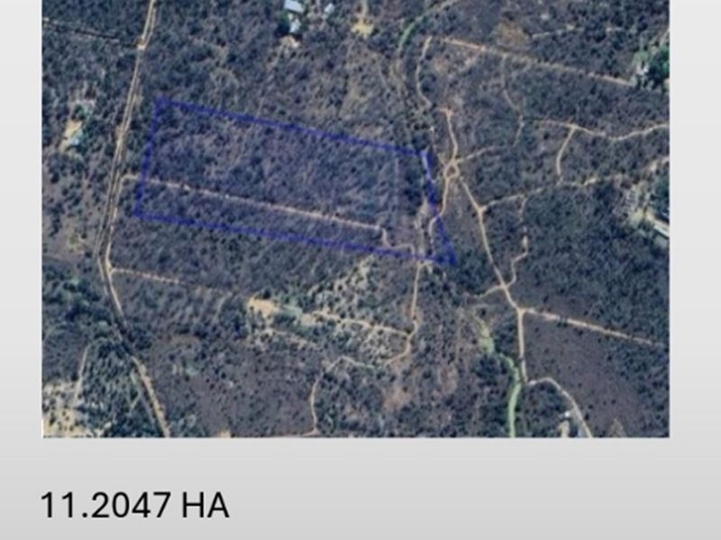 SMALLHOLDING - CHICKEN and PIG FARMING STRUCTURES IN PLACE - Photo 2