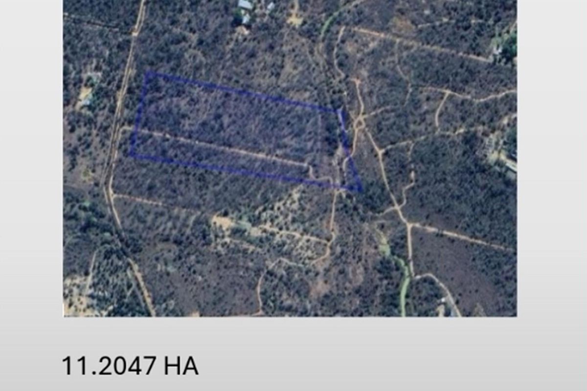 SMALLHOLDING - CHICKEN and PIG FARMING STRUCTURES IN PLACE - Photo 2