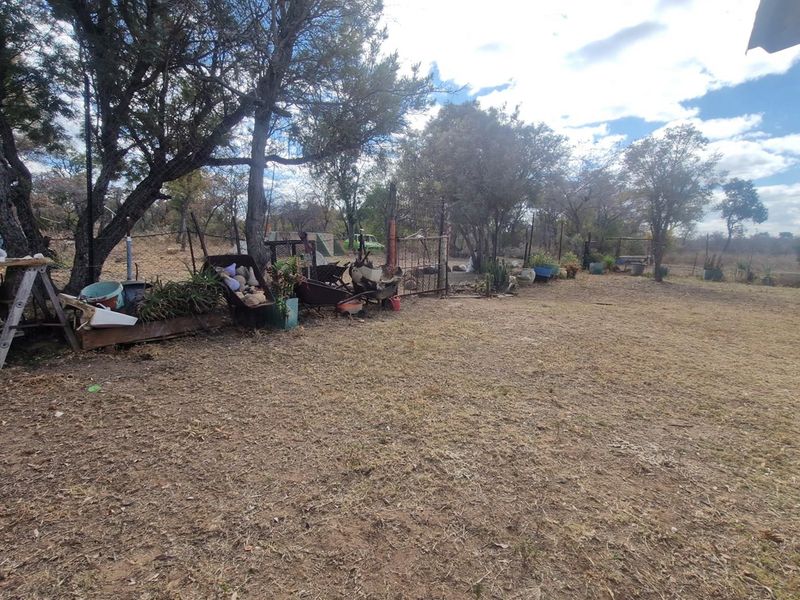 SMALLHOLDING - CHICKEN and PIG FARMING STRUCTURES IN PLACE - Photo 10