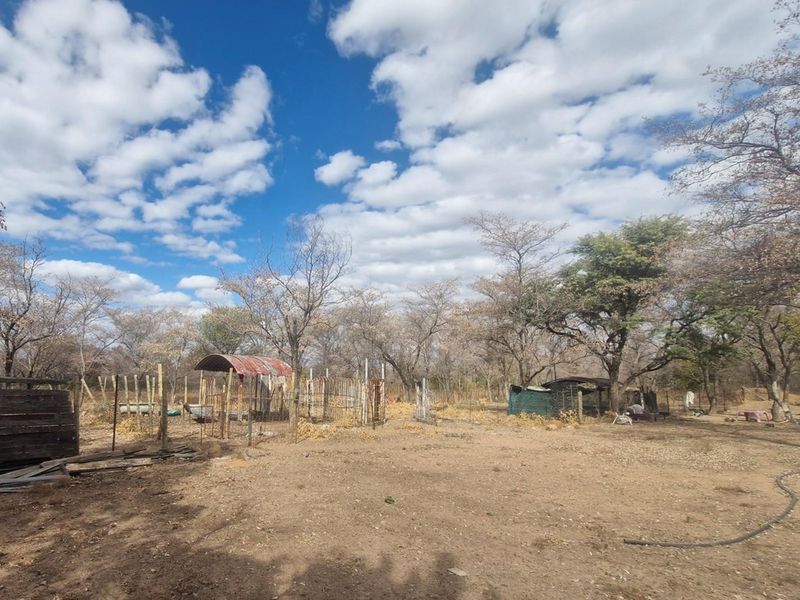 SMALLHOLDING - CHICKEN and PIG FARMING STRUCTURES IN PLACE - Photo 5