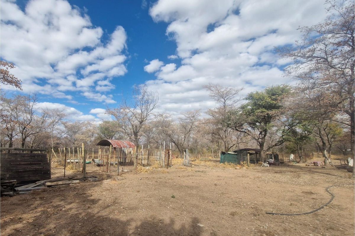 SMALLHOLDING - CHICKEN and PIG FARMING STRUCTURES IN PLACE - Photo 5