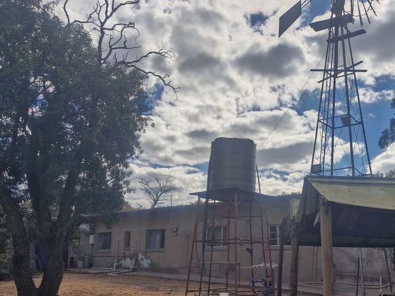 SMALLHOLDING - CHICKEN and PIG FARMING STRUCTURES IN PLACE - Photo 4
