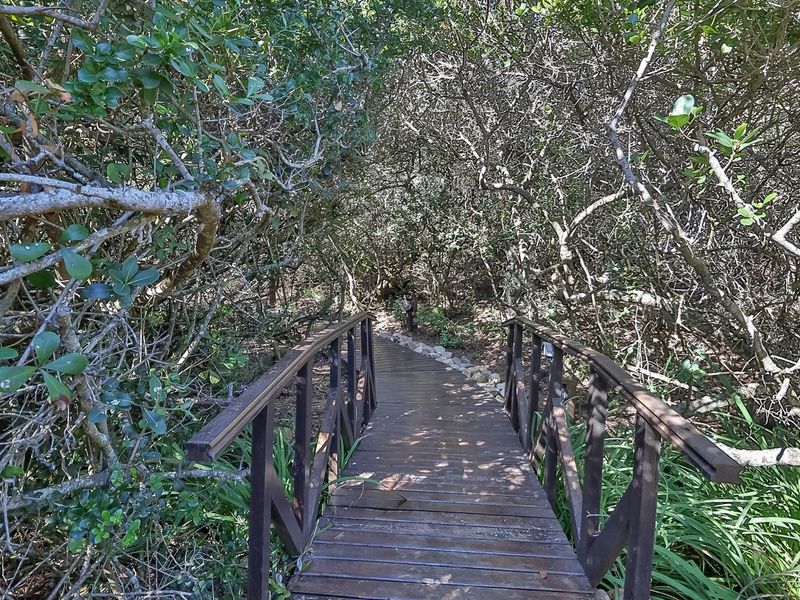 Exceptional Coastal Vacant Plot with Breathtaking Ocean Views! - Photo 10