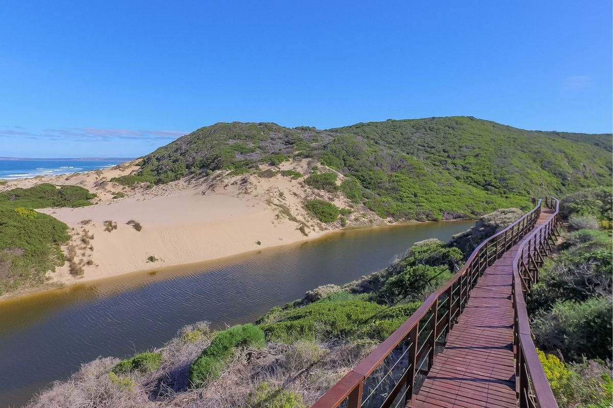 Exceptional Coastal Vacant Plot with Breathtaking Ocean Views! - Photo 5