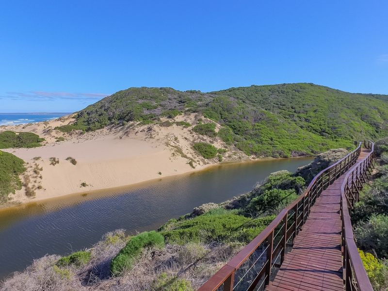 Exceptional Coastal Vacant Plot with Breathtaking Ocean Views! - Photo 6