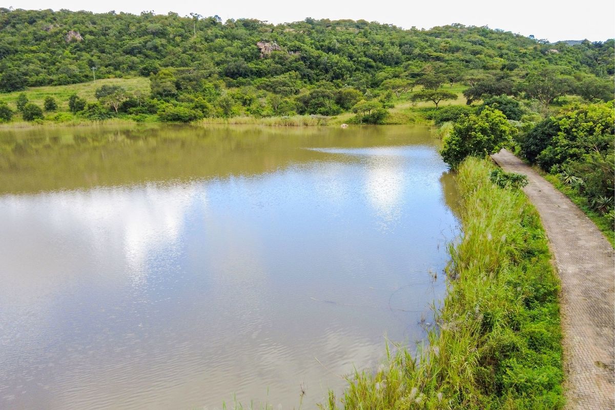 An aerial view of a tranquil lake bordered by a paved pathway and lush, natural vegetation, showcasing the scenic landscape of the property.