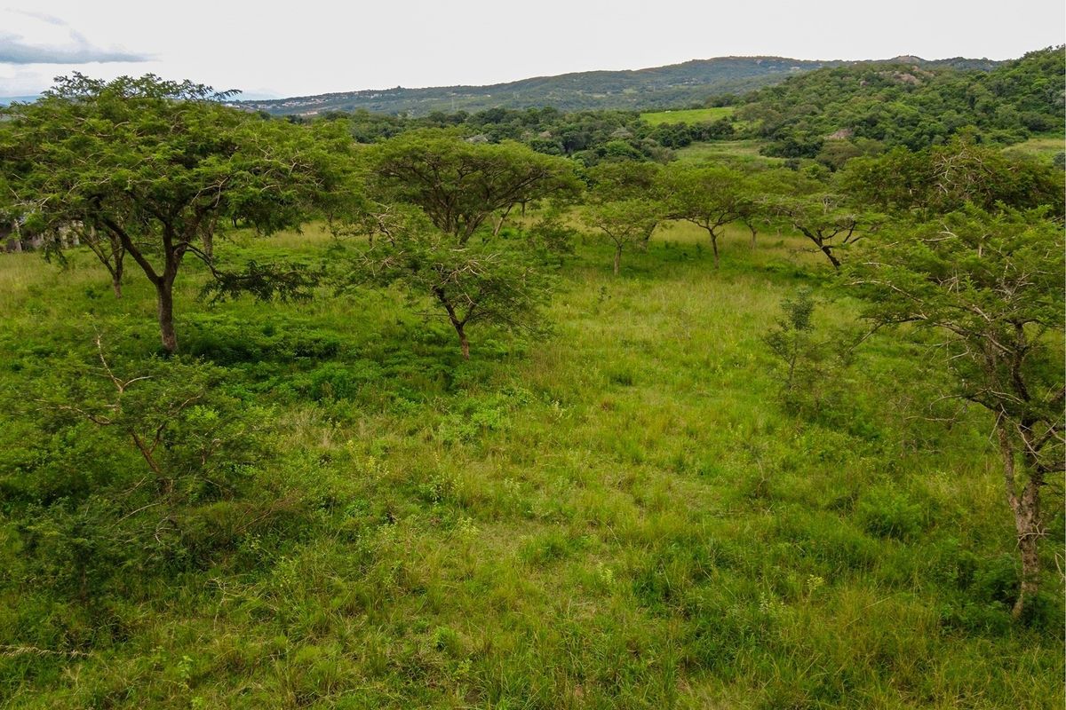 "Prime Land in White River: Your Dream Awaits" - Photo 5