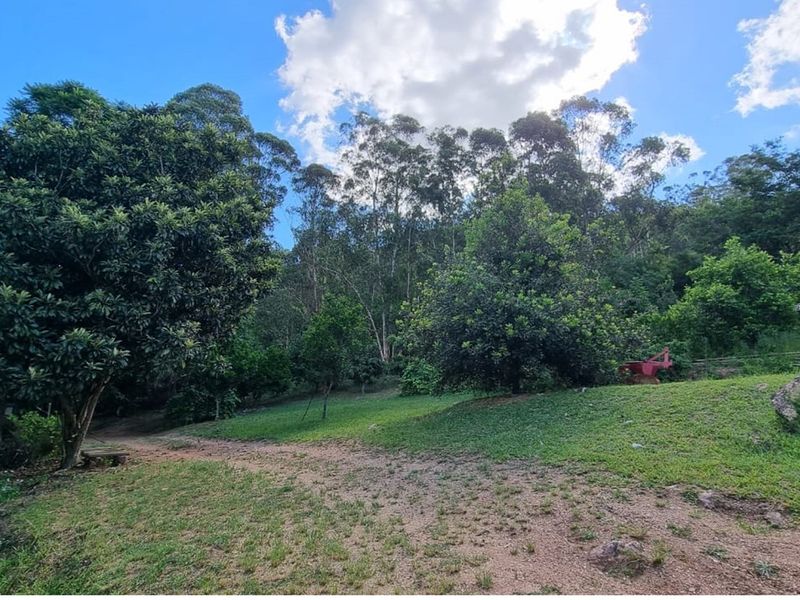 A scenic view of the farm's lush garden area featuring mature trees, a grass lawn, and a natural dirt pathway.