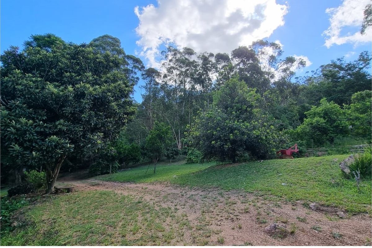 A scenic view of the farm's lush garden area featuring mature trees, a grass lawn, and a natural dirt pathway.