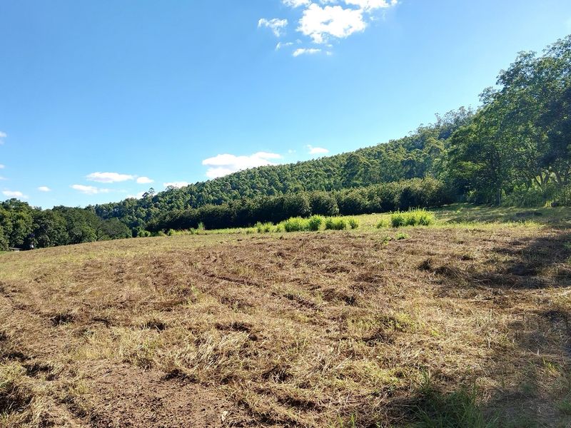 A scenic view of the farm property featuring open pasture land bordered by established trees and a forested hillside.