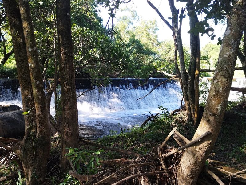 A scenic view of a natural waterfall and river flowing through a wooded area on the farm property.