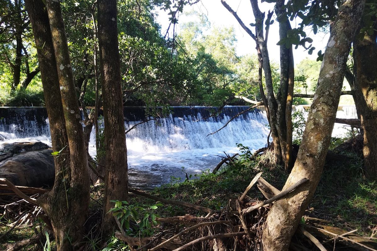 A scenic view of a natural waterfall and river flowing through a wooded area on the farm property.