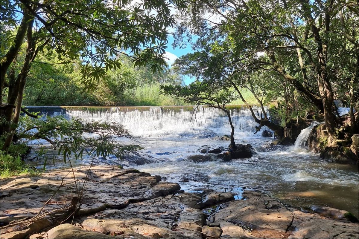 A scenic view of a natural waterfall and rocky riverbed surrounded by lush mature trees on the farm property.