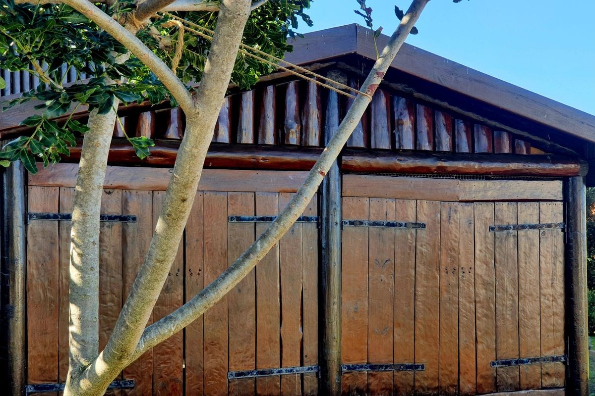 A Handcrafted Log Home Masterpiece in Boggomsbaai - Photo 3