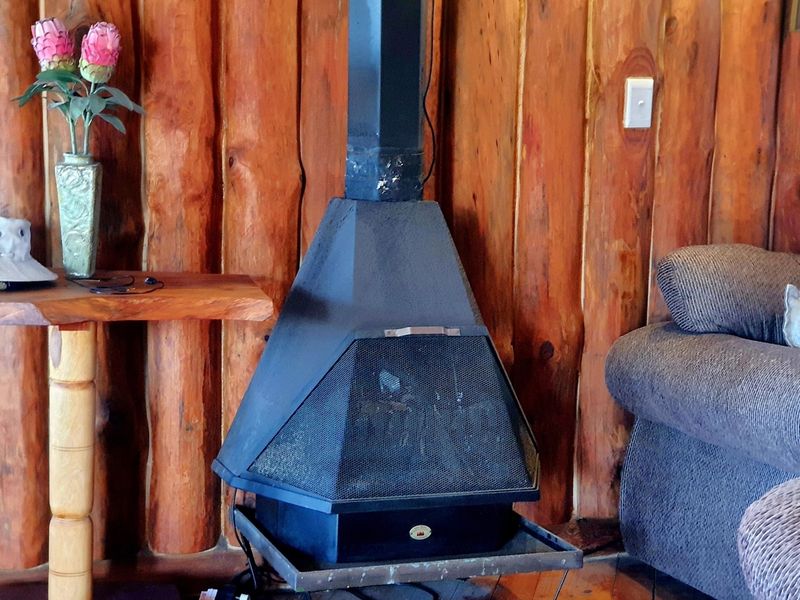 A Handcrafted Log Home Masterpiece in Boggomsbaai - Photo 9
