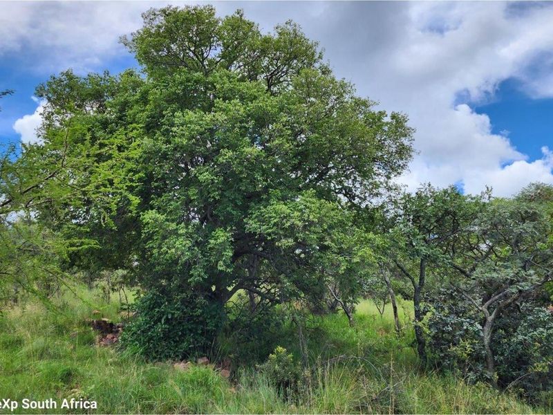 Intaba-Indle - Breathtaking mountain and game reserve  views - Bushveld vacant land - Tar Roads - Photo 3