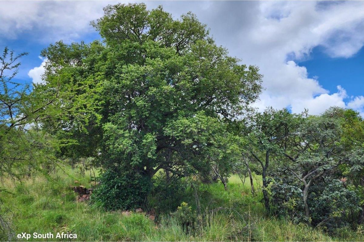 Intaba-Indle - Breathtaking mountain and game reserve  views - Bushveld vacant land - Tar Roads - Photo 3