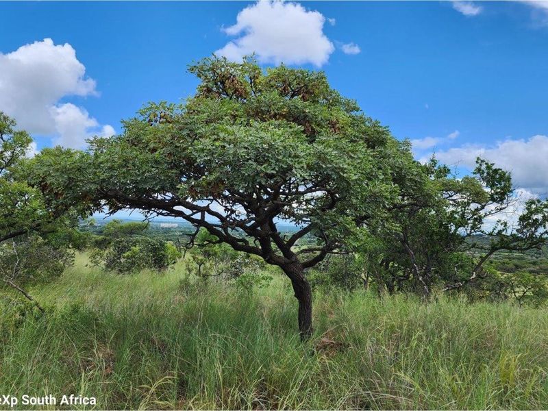 Intaba-Indle - Breathtaking mountain and game reserve  views - Bushveld vacant land - Tar Roads - Photo 4
