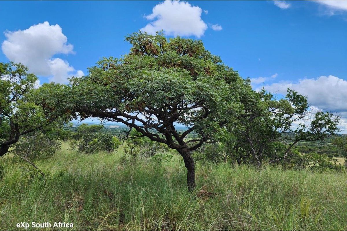 Intaba-Indle - Breathtaking mountain and game reserve  views - Bushveld vacant land - Tar Roads - Photo 4