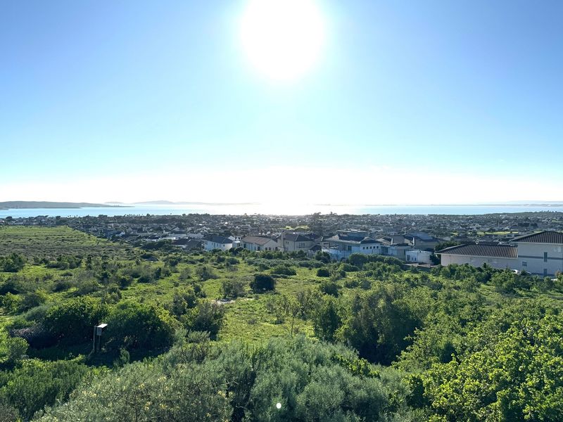 A Rare Opportunity to Own a Prime Vacant Stand in Long Acres Country Estate - Photo 7