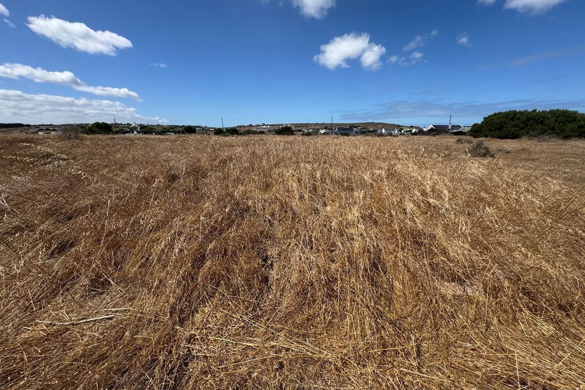 A Rare Opportunity to Own a Prime Vacant Stand in Long Acres Country Estate - Photo 3