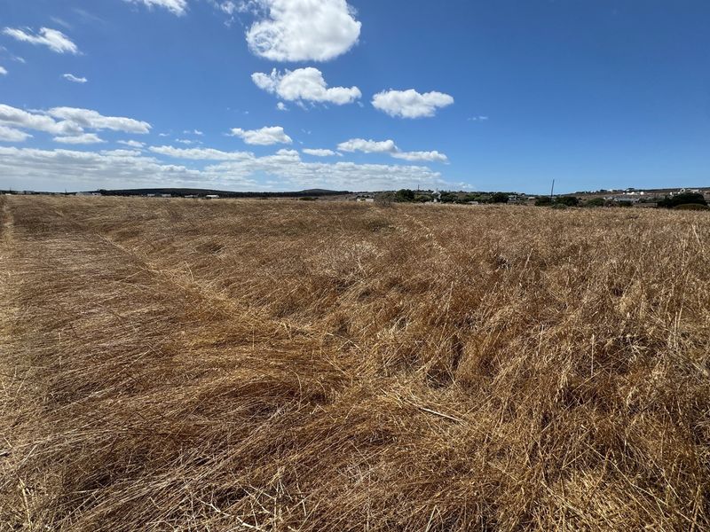 A Rare Opportunity to Own a Prime Vacant Stand in Long Acres Country Estate - Photo 2