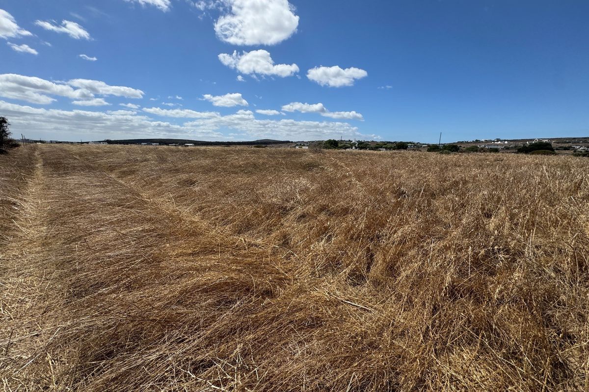 A Rare Opportunity to Own a Prime Vacant Stand in Long Acres Country Estate - Photo 2