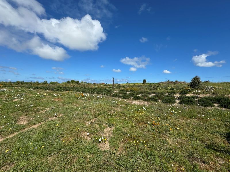 A Rare Opportunity to Own a Prime Vacant Stand in Long Acres Country Estate - Photo 5