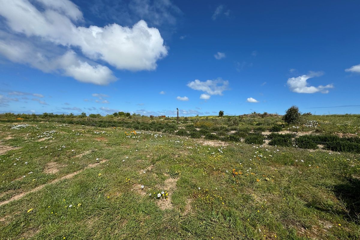 A Rare Opportunity to Own a Prime Vacant Stand in Long Acres Country Estate - Photo 5