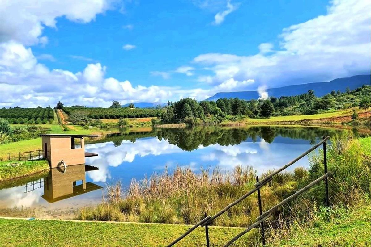 Sprawling 265Ha Macadamia Farm Oasis - Your Agricultural Dream Awaits Near Nelspruit. - Photo 2