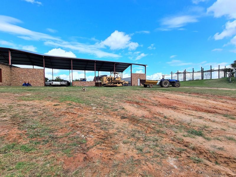 Sprawling 265Ha Macadamia Farm Oasis - Your Agricultural Dream Awaits Near Nelspruit. - Photo 6