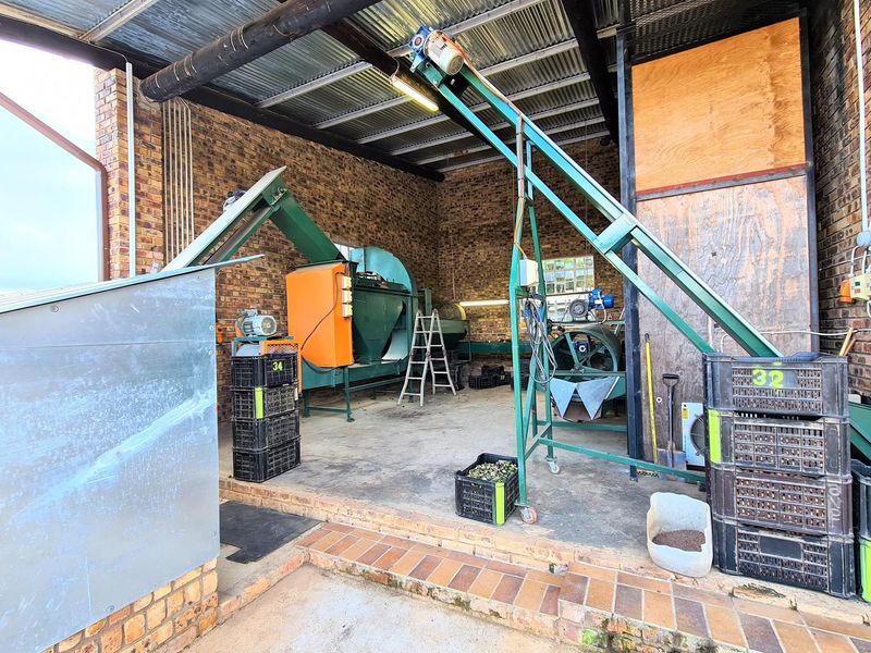 Sprawling 265Ha Macadamia Farm Oasis - Your Agricultural Dream Awaits Near Nelspruit. - Photo 4