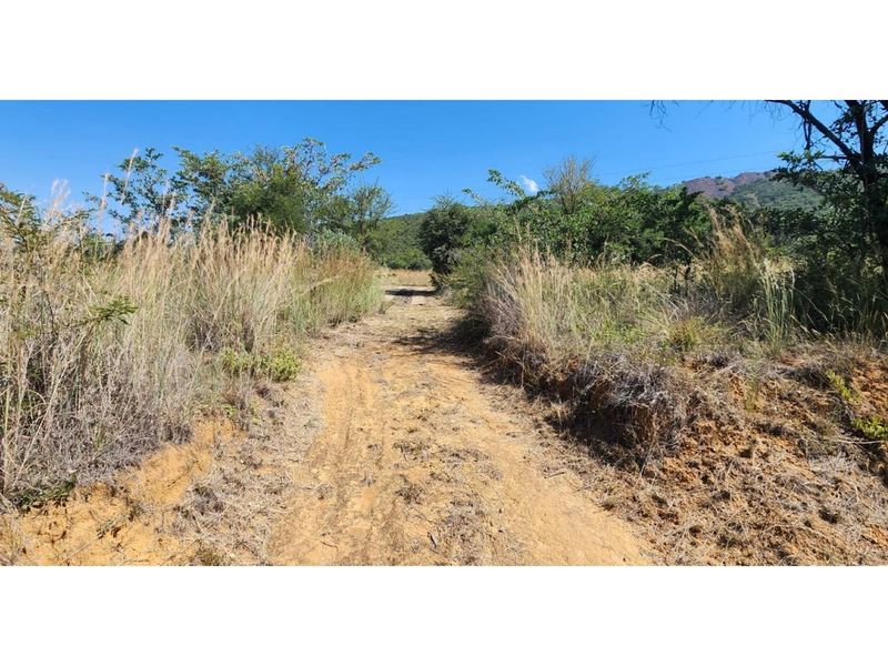 Vacant Land For Sale in Zwartkloof Private Game Reserve, Bela Bela - Photo 10