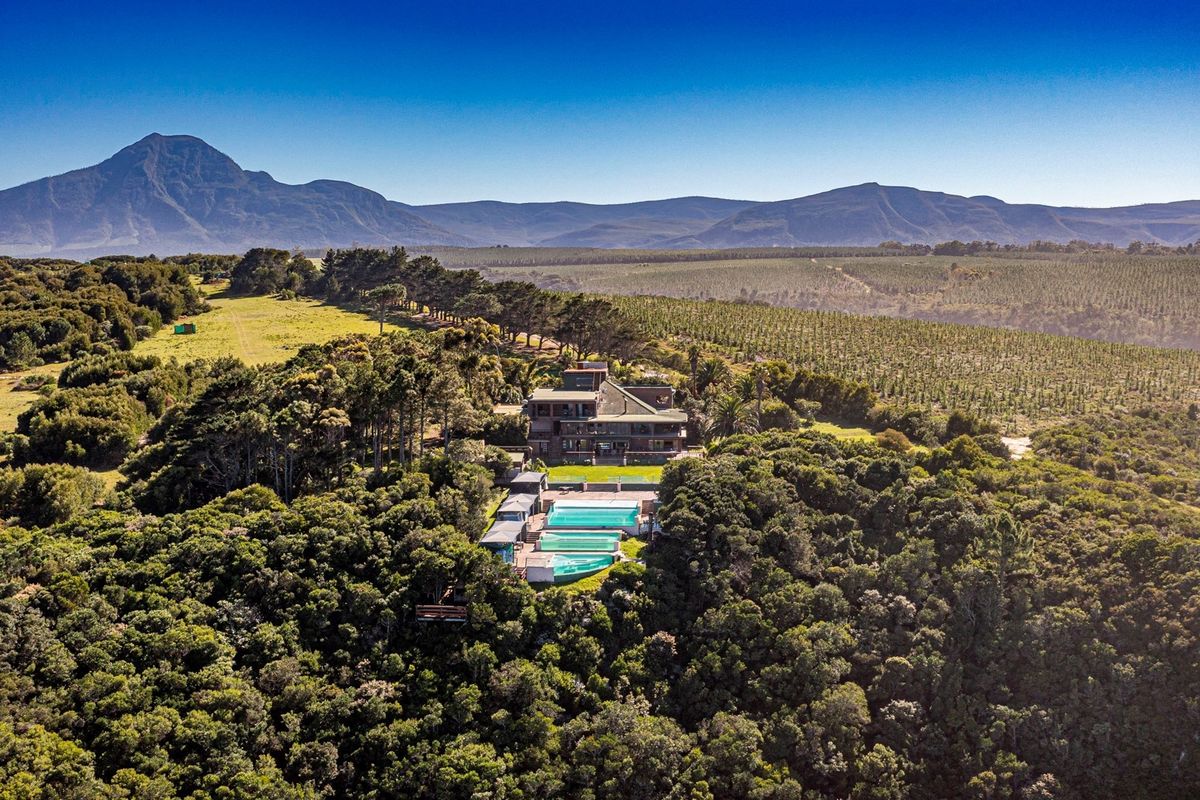 A Once in a Lifetime Coastal Masterpiece in the Heart of Tsitsikamma - Photo 3