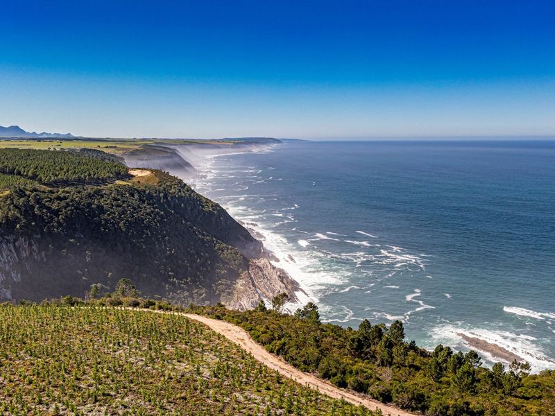 A Once in a Lifetime Coastal Masterpiece in the Heart of Tsitsikamma - Photo 4