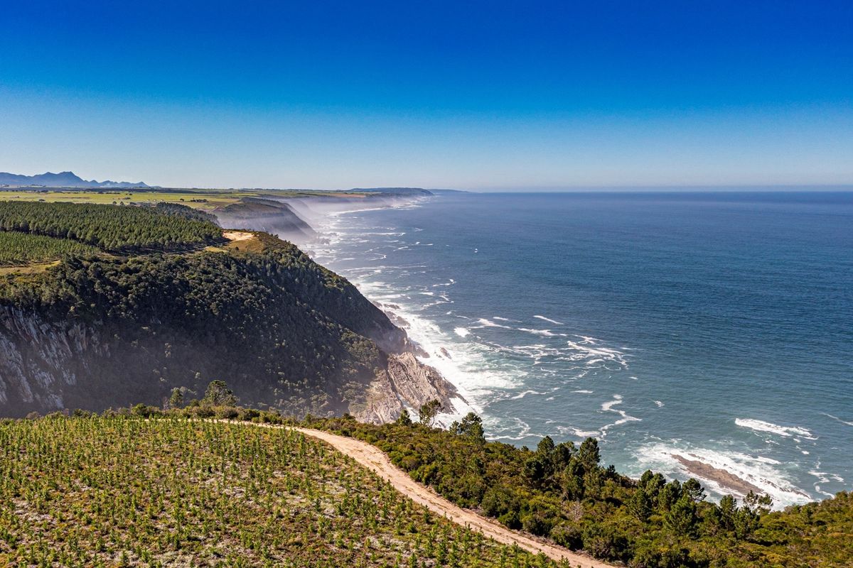 A Once in a Lifetime Coastal Masterpiece in the Heart of Tsitsikamma - Photo 4