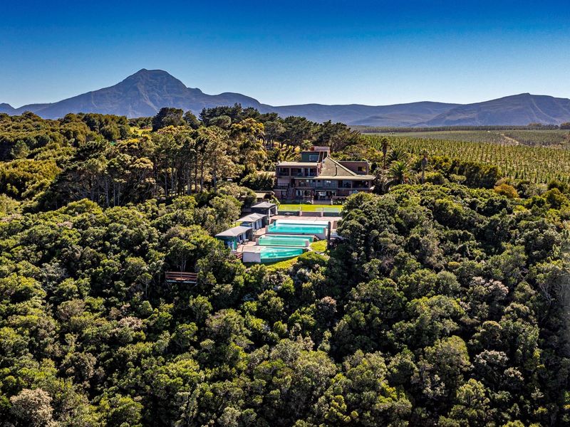 A Once in a Lifetime Coastal Masterpiece in the Heart of Tsitsikamma - Photo 8