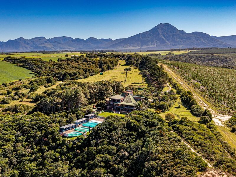 A Once in a Lifetime Coastal Masterpiece in the Heart of Tsitsikamma - Photo 2