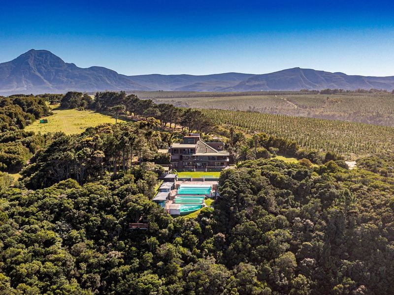 A Once in a Lifetime Coastal Masterpiece in the Heart of Tsitsikamma - Photo 5