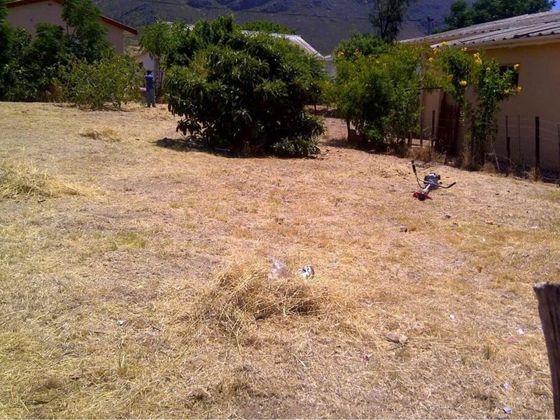 Idyllic Piketberg Plot: Build Your Dream Home  - 496 sqm plot in Piketberg - Photo 9