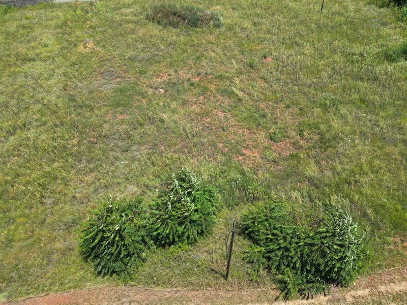 Vacant residential stand - Photo 2