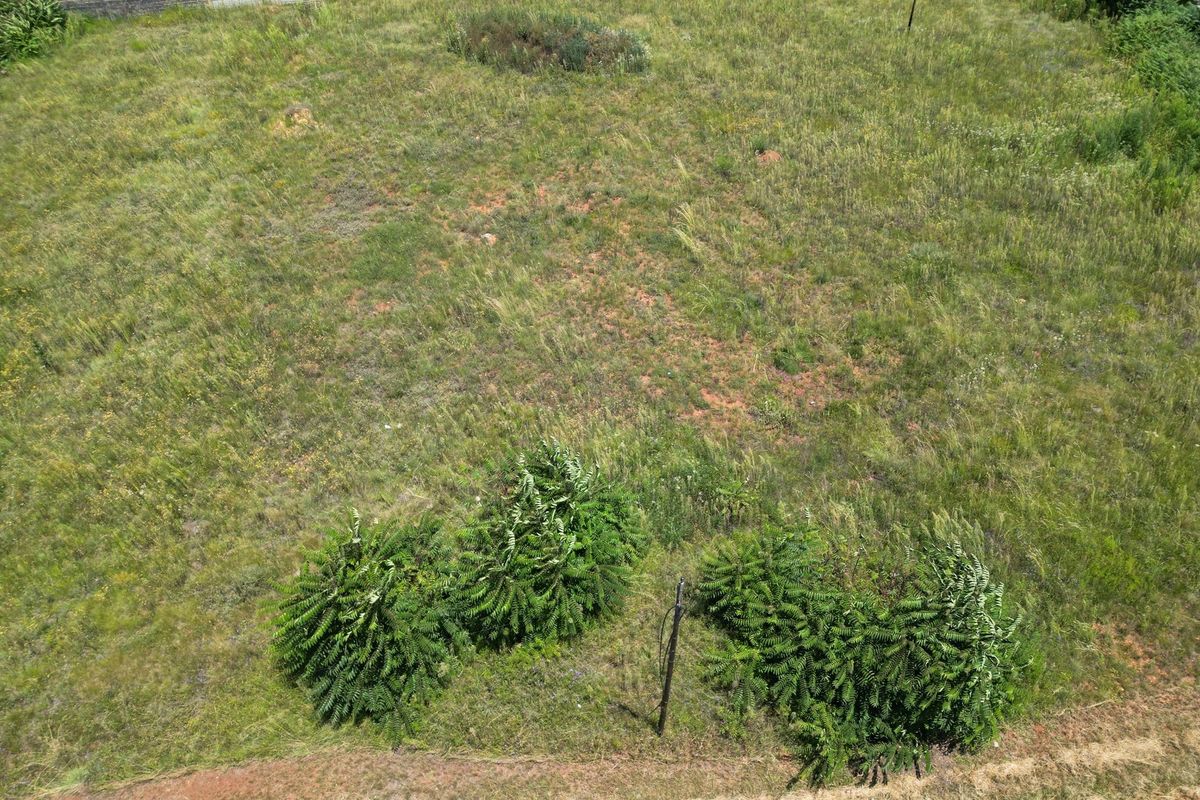 Vacant residential stand - Photo 2